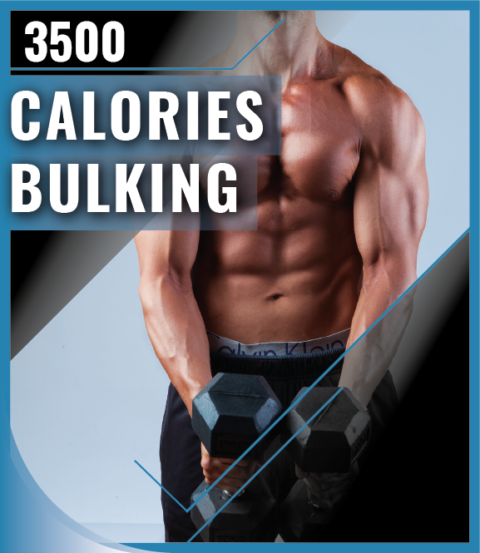 3500 Calorie Bulking Meal Plan PDF – Your Guide to Building Muscle Mass