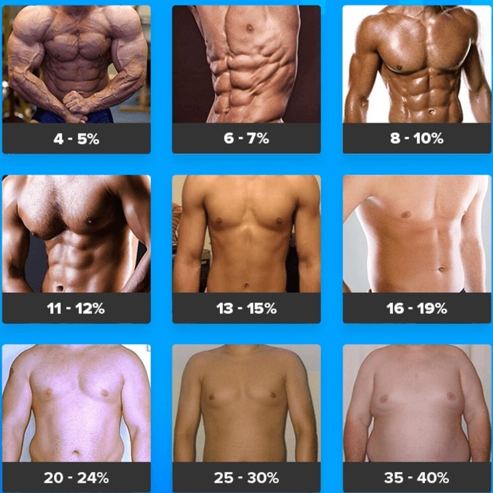 Body Fat Percentage Ultimate Guide For Beginners Brad Newton Fitness